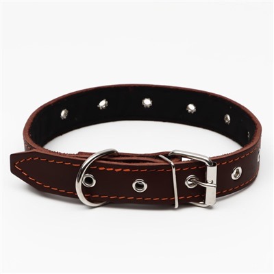 Ошейник кожаный на синтепоне, безразмерный, 65×3 см, ОШ 22-55 см, коричневый