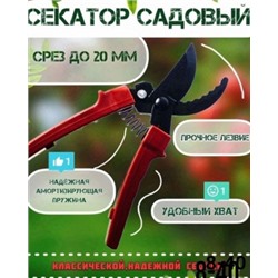 Секатор #22919447