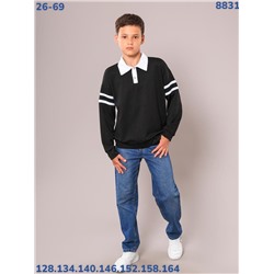 Джемпер 8831 чёрный