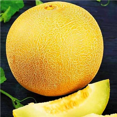 5017D Дыня Медовый спас 5шт