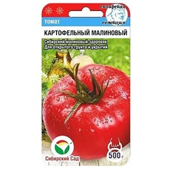 Томат Картофельный Малиновый Сиб.Са