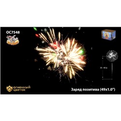 Фейерверк ОС7549 Заряд позитива (0,8" х 49)