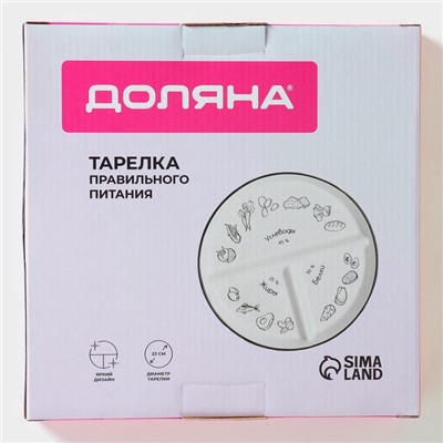 Тарелка для правильного питания Доляна «Гарвадская №3», d=23 см, 3 секции, фарфор, белая