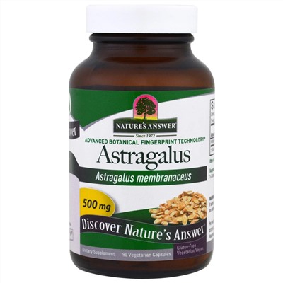 Nature's Answer, Astragalus, 500 mg, 90 Vegetarian Capsules