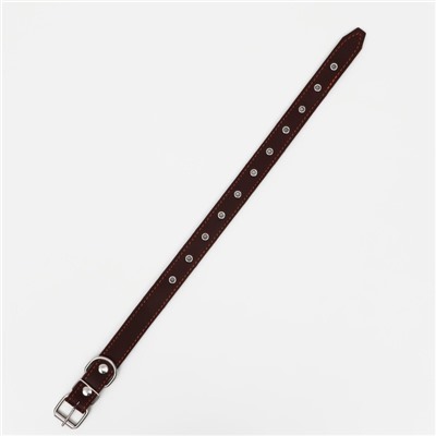 Ошейник кожаный на синтепоне, безразмерный, 65×3 см, ОШ 22-55 см, коричневый