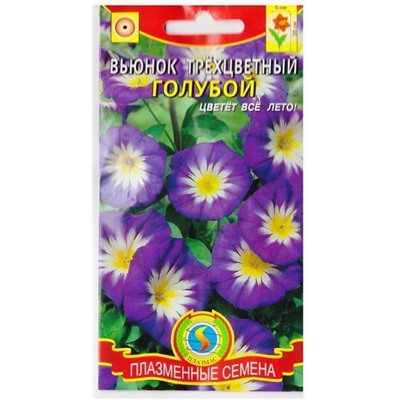 Вьюнок Трехцветный Голубой  (Код: 75163)