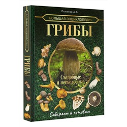 АСТ Поленов А.Б. "Большая энциклопедия. Грибы. Съедобные и несъедобные. Собираем и готовим."