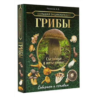 АСТ Поленов А.Б. "Большая энциклопедия. Грибы. Съедобные и несъедобные. Собираем и готовим."