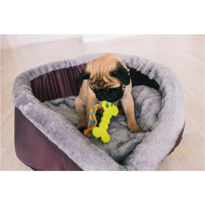 Игрушка жевательная с канатом «Кость с хвостом», синяя