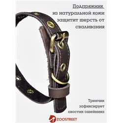 Ошейник безразмерный, 40×2 см, с подпряжником, кожа, коричневый