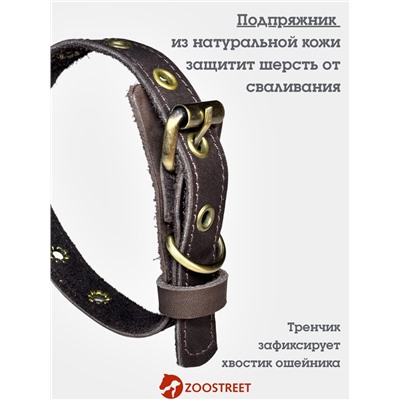 Ошейник безразмерный, 40×2 см, с подпряжником, кожа, коричневый