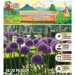 Аллиум лук декоративный Гладиатор, р-р 18/20, 1 шт, Весна 2025