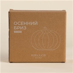Тарелка SL Home «Осенний бриз», 16×14.5×3.3 см, доломит, белая