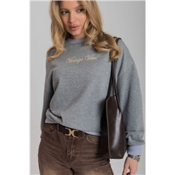 Толстовка М325277ВШс