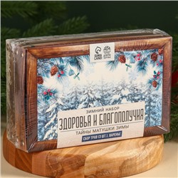 Подарочный набор новогодний «Тайны матушки зимы»: сбор трав 3 шт. × 20 г, варенье из сосновых шишек, 100 мл.