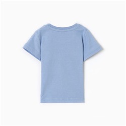 Футболка для мальчика, цвет голубой, рост 80 см