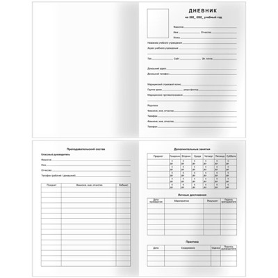 Дневник для старших классов (твердая обложка) "Формула воды" 64639 BG