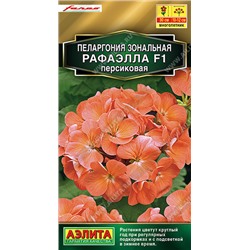 1698A Пеларгония Рафаэлла F1 персиковая 5 шт