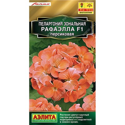 1698A Пеларгония Рафаэлла F1 персиковая 5 шт