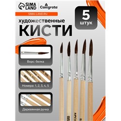 Набор кистей для рисования, белка, 5 штук: № 1, 2, 3, 4, 5, круглые, деревянная ручка, международный размер