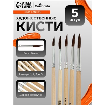 Набор кистей для рисования, белка, 5 штук: № 1, 2, 3, 4, 5, круглые, деревянная ручка, международный размер
