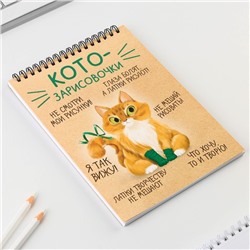 Скетчбук А5, 40 л 100 г/м² «Котозарисовки»