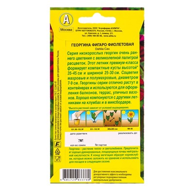 Семена цветов Георгина Фигаро махровая фиолетовая , Ц/П,7 шт.