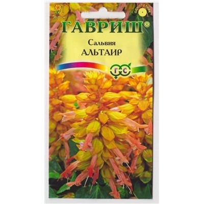 Сальвия Альтаир Карликовая (Код: 6905)