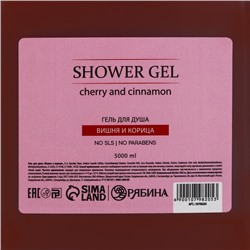 Гель для душа, 5 л, аромат вишни и корицы