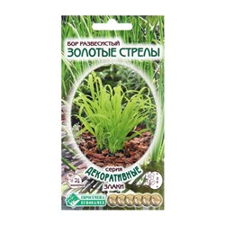 Семена цветов бор развесистый «Золотые Стрелы», 5 шт.