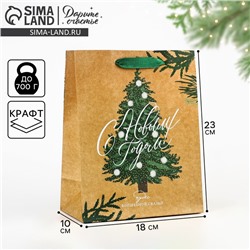 Пакет подарочный новогодний крафтовый «Winter», MS 18×23×10 см
