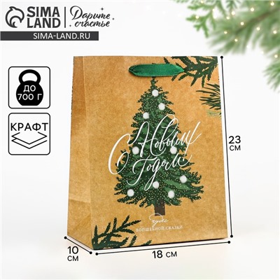 Пакет подарочный новогодний крафтовый «Winter», MS 18×23×10 см