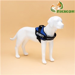 УЦЕНКА Шлейка К9 мягкая светоотражающая, размер ХL, ОГ 80-95 см, вес 30-45 кг, синяя