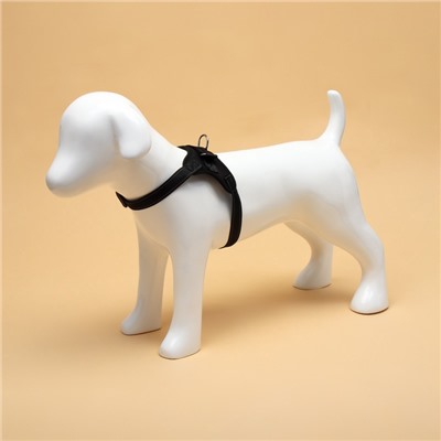 Шлейка К7, размер М, ОГ 52-66 см, вес 9.5-17.5 кг, мягкая, светоотражающая, чёрная