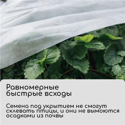 Материал укрывной, 10 × 1.6 м, плотность 30 г/м², спанбонд с УФ-стабилизатором, белый, Greengo, Эконом 30%