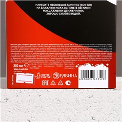 Новогодний подарочный набор косметики «Спокойствие!»: гель для душа 250 мл и мочалка для тела, Чистое счастье