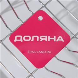 Сушилка для посуды с поддоном Доляна, 38.5×21.5×12.5 см, МИКС