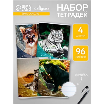 Набор тетрадей, 96 листов в линейку, Calligrata «Дикие кошки», серые листы, 4 штуки