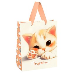 Пакет бумажный 26х32х12 см "Любимый котенок" мат. лам. MS_66175 (382316) MESHU