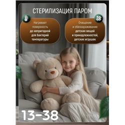 Пароочиститель