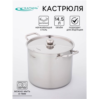 Кастрюля Катунь «Титан», 14.5 л, d=28 см, h=24 см, капсульное дно, индукция, нержавеющая сталь