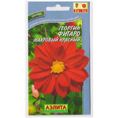 Георгина Фигаро красная махровая (Код: 10461)