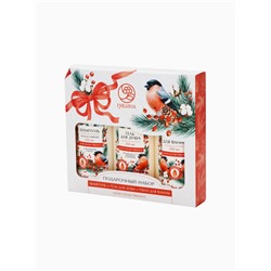 УЦЕНКА РЯБИНА Набор «С Новым годом и Рождеством», гель для душа, шампунь и пена для ванны