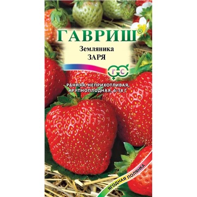 Земляника  Заря (Гавр)