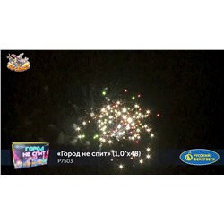 Фейерверк Р7503 Город не спит (1" х 48)