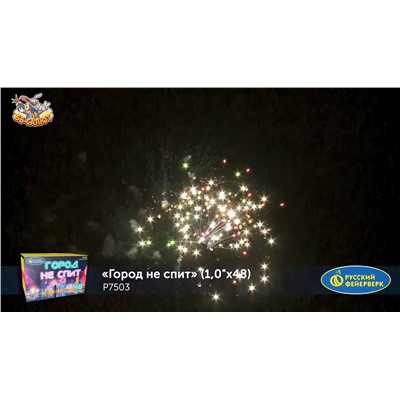 Фейерверк Р7503 Город не спит (1" х 48)