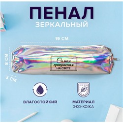 Пенал школьный, искусственная кожа «Самая прекрасная на свете» 8×19×3 см