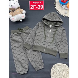 костюм с начесом 2055638-1