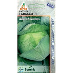 Капуста бк Галакси F1 15шт (Агрос)