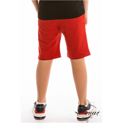 Шорты М223015Па